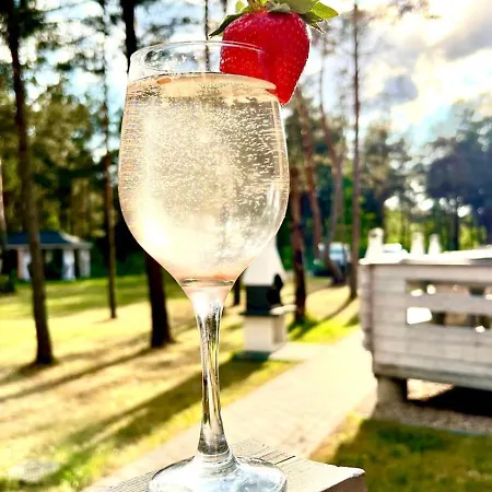 Holiday home Skrawek Nieba Borsk